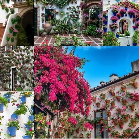 Apartamento Centrico En El Casco Historico De Córdoba Buitenkant foto