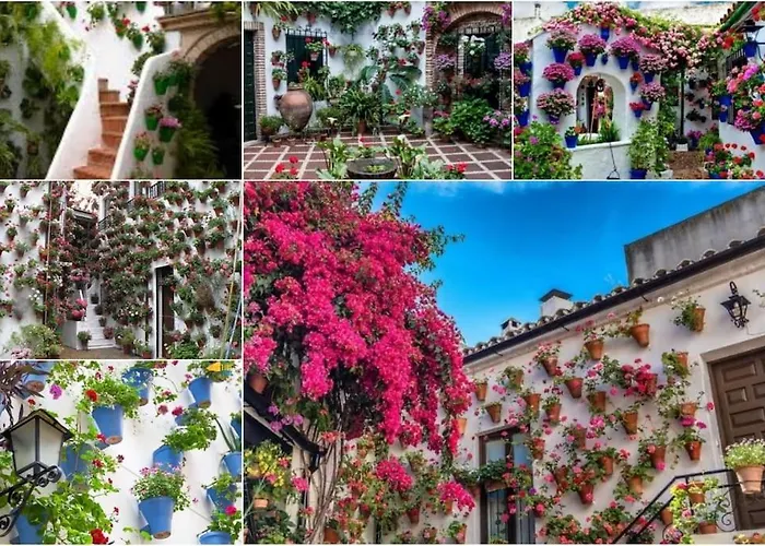 Apartamento Centrico En El Casco Historico De Cordoba