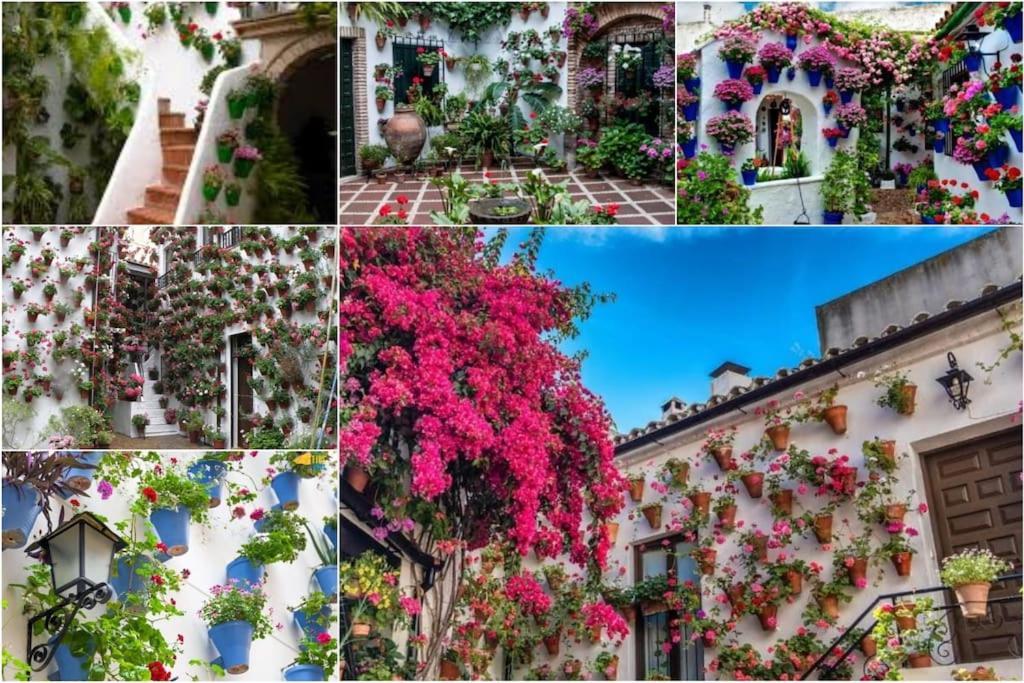 Centrico En El Casco Historico De * Cordoba